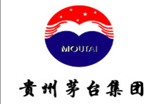 貴州茅臺集團電熱蒸汽鍋爐廠家案例